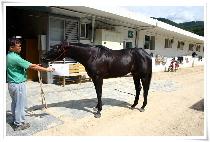 ���� (JANG IN) ����