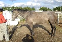 ��ſ��� (JEULGEOWORA) ����