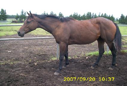 Ǯ�ĵ� ����