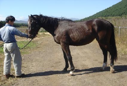 ��Ұ������� ����