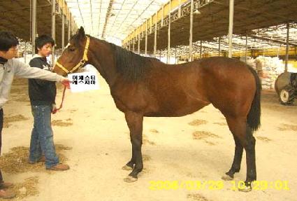 õ���뱺 ����