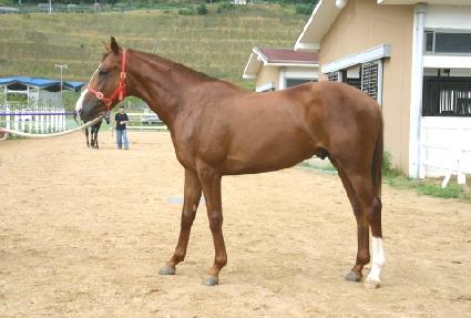 ������ ����