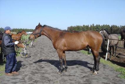 ĥ������ ����