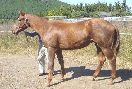 �ֿ���� ����