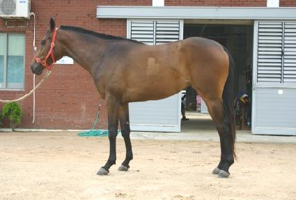 ����� ����