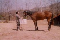 ���´� (JESEUNGDANG) ����