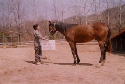 ���´� ����