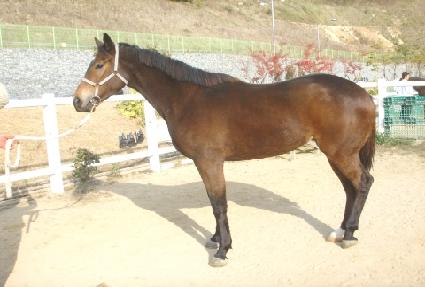 ���л�� ����