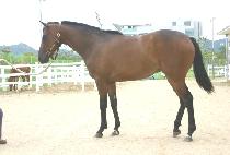 �ູ���� (HAENGBOK DONGSAN) ����