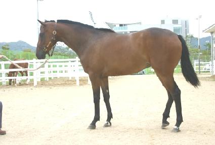 �ູ���� ����