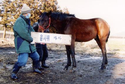 �ֻ��� ����