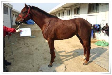 ���� ����