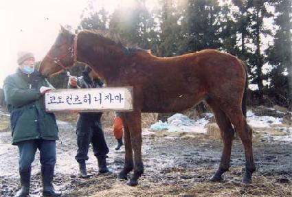 ����ĭ ����