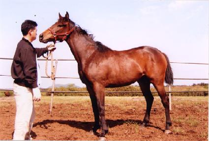 ���߻� ����