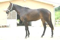 ���ġ (BIG MATCH) ����