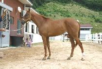 ��ó�� (KKOTCHEONYEO) ����