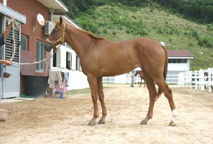 ��ó�� ����