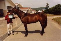 ûž (CHEONGTAP) ����