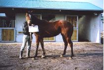 ����Ŭ��ġ (DOUBLE CLUTCH) ����