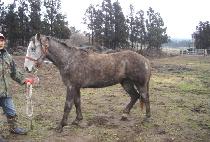 ������� (MYEONGBONG JAESU) ����