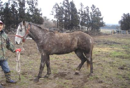 ������� ����