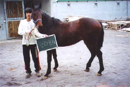 �ַο�����Ʈ ����