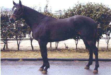 ��ó����ũ�� ����