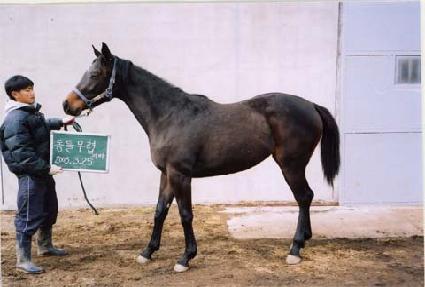 ��Ʈ�չ��� ����