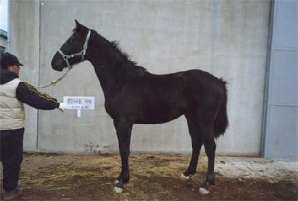 ����� ����