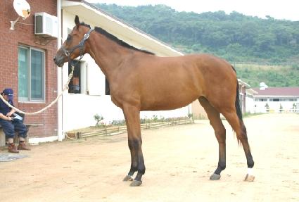 ������ ����