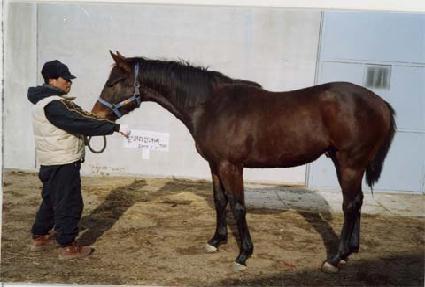 ž��ġ ����