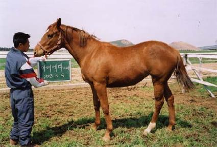 ���� ����