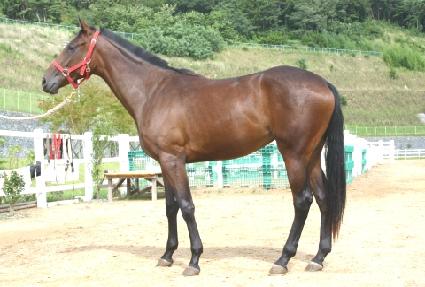 ���� ����