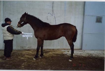 ����ī�� ����