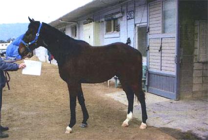 �뽳è�� ����