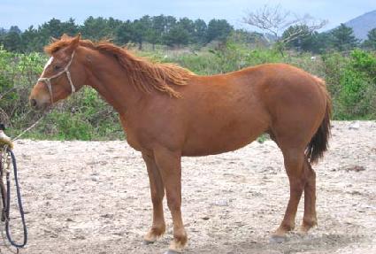 ���� ����