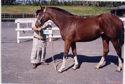 ��õ�� ����