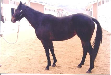 �ְ�ġ ����