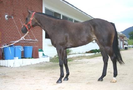 �������� ����