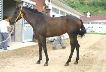 ���ʱ��� (SAPIL GWIJEONG) ����