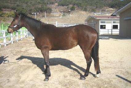 ���߷� ����