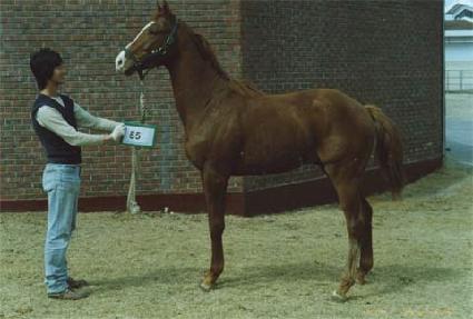 �츮���� ����