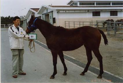 ���۾ַο� ����