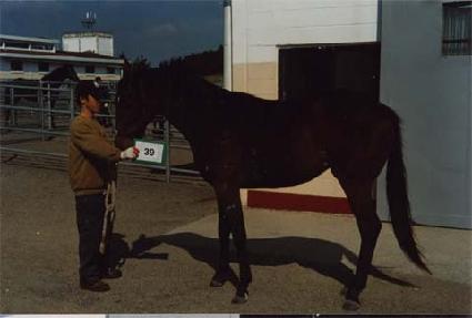 ��̸��� ����