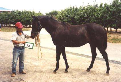 ��ȭ�ǻ� ����