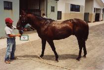 �긶�� (SANMARU) ����