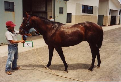 �긶�� ����