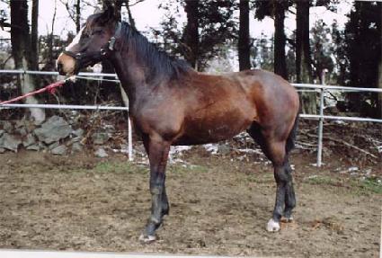 ������ ����