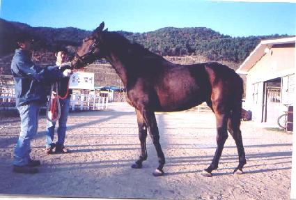 ���븮 ����