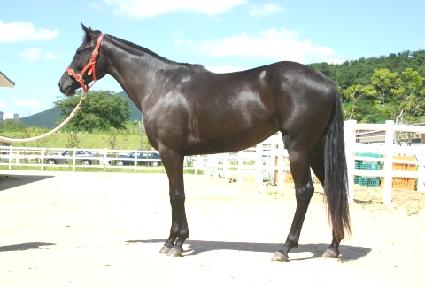 ����� ����